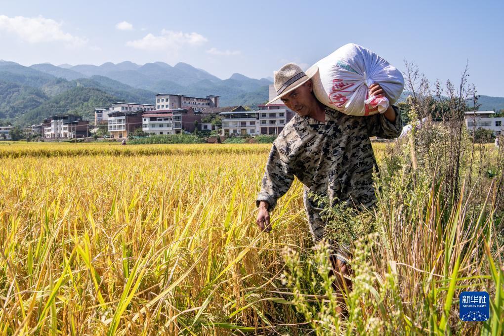 国际利发娱乐